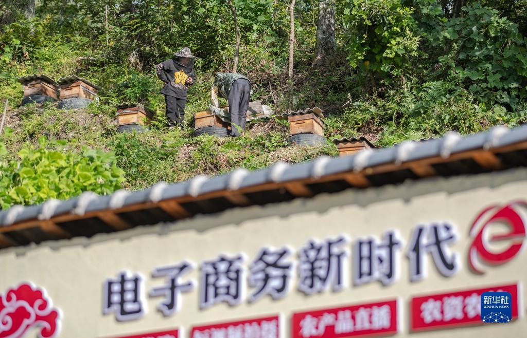 凤凰游戏客服电话